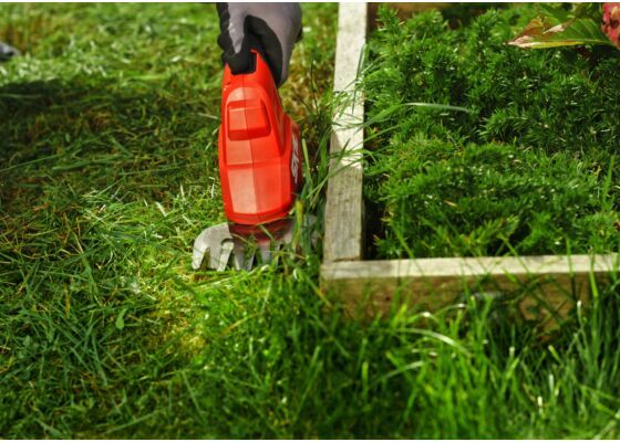 The SKIL 0630 CA hedge trimmer is a versatile small mower for the balcony or garden. You can use it as a hedge trimmer or lawn shears